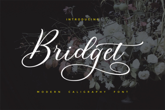 Bridget Script: A Modern Typeface for Dynamic Campaigns