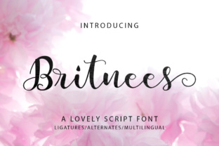 Britnees Script: The Modern Typeface for Campaigns
