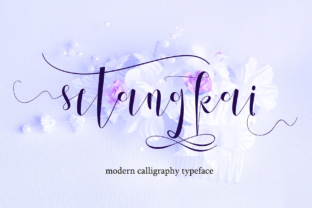 Elevate Your Brand Identity with Setangkai Script Font