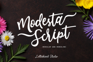 Modesta Script: A Versatile Typeface for Feminine Campaigns