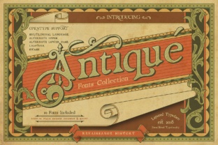 Renaissance Garden: A Serif Font for Vintage Branding